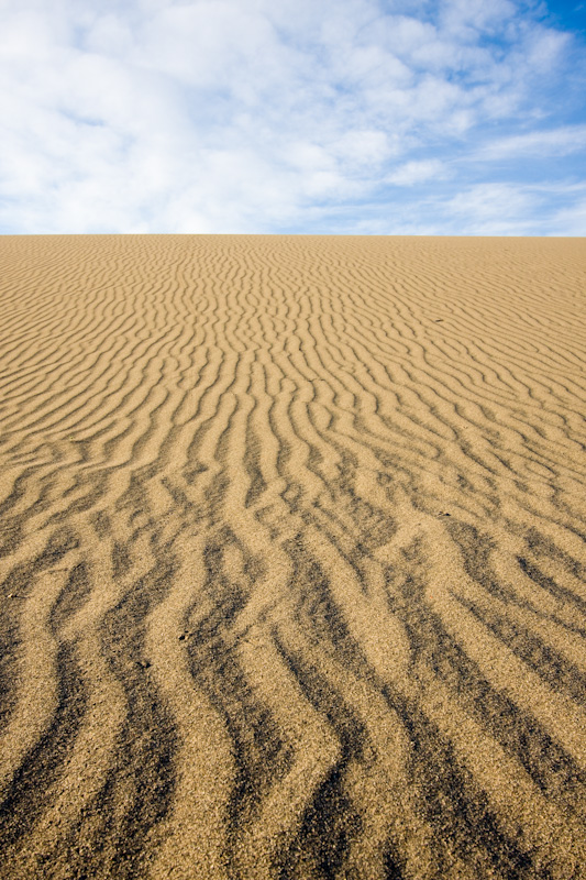 Patterns In Sand Dune
